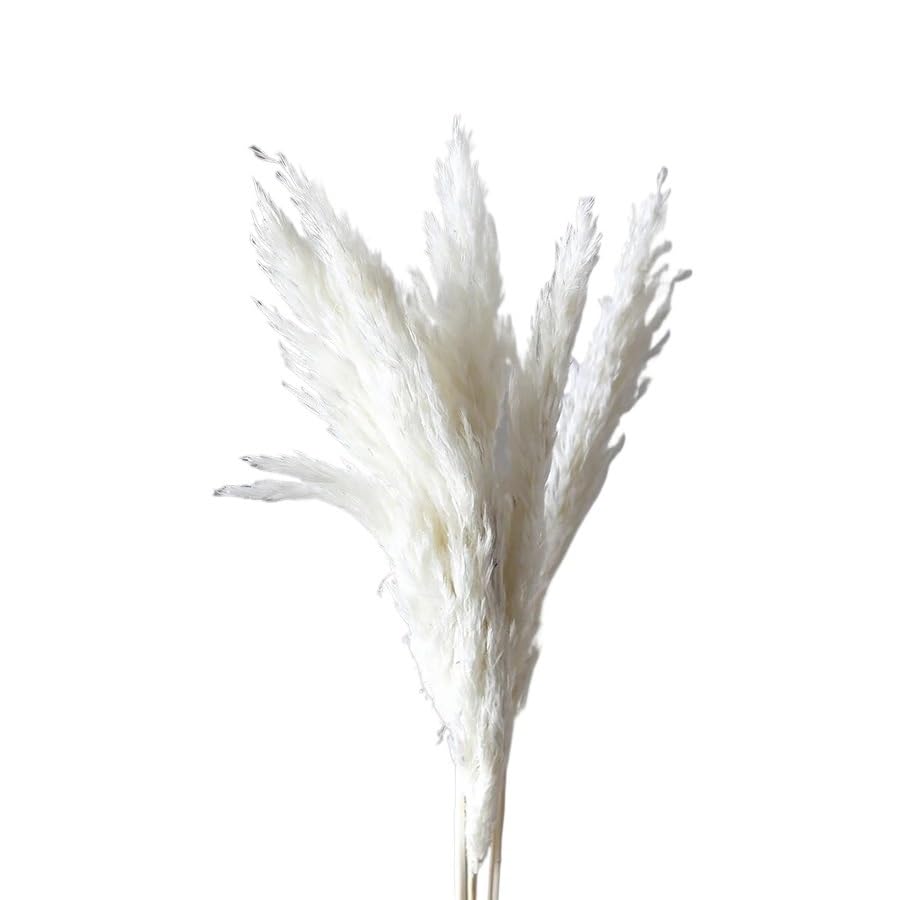 Ramo de Pasto Pampas Natural Seco 45 cm 4-5 piezas miniatura 1
