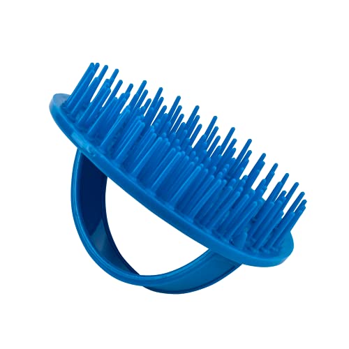 Denman (Blue) Scalp Massager and Detangling Hair Brush for Thick or Thin Hair, Curly or Straight Hair - use in the Shower or Bath - Head and Beard Scrubber - For Women and Men, D6