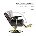 LUXMARS Salon Chair Barber Chair Hydraulic Recline Barber Chairs Hair Chair for Barbershop Hair Salon Equipment Styling Chair with Heavy Duty Hydraulic Pump Black Gold