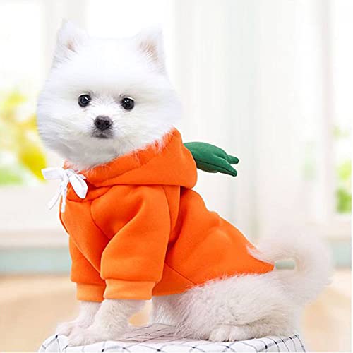 Daseey Roupas para cachorros com capuz para cachorros Roupas quentes para cachorros Projeto com cord