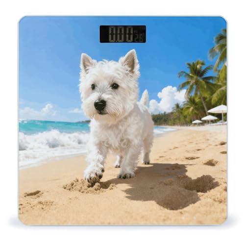 Báscula Digital de Baño con Pantalla LCD y Base Antideslizante miniatura 1