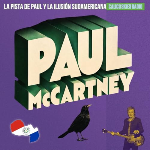 La pista de Paul y la ilusi&oacute;n Sudamericana