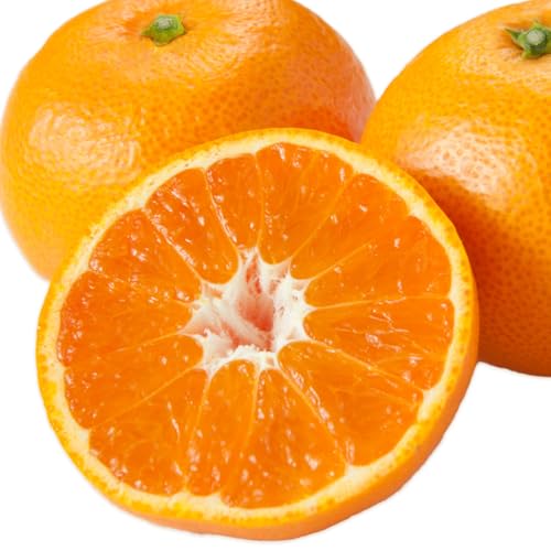 温州みかん みかん 熊本県産 贈答用 2.5kg 秀品 ギフト フルーツ デザート 日本フルーツ株式会社 [10月中旬-2月中旬頃出荷]