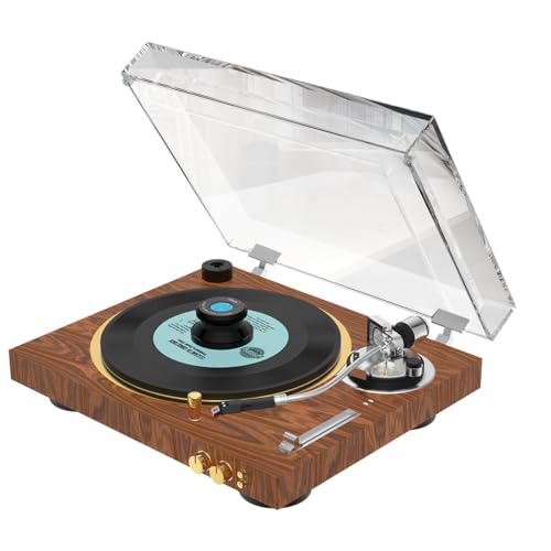 Viborg LP320B Record Weight Turntable Disc Stabilizer 77x41mm Aluminum HiFi Vinyl Clamp 11.3oz LP Phono Record Puck Turntable Level for Vinyl Record Player, Turntables, Phonograph - Thumbnail 6