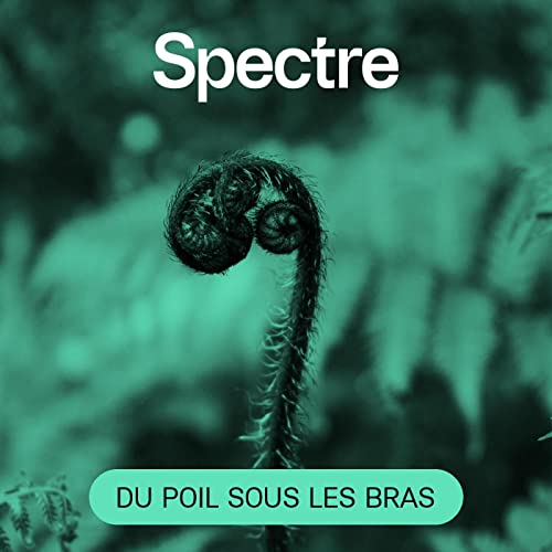 Contre la corruption avec Elise Van Beneden Podcast Por  arte de portada