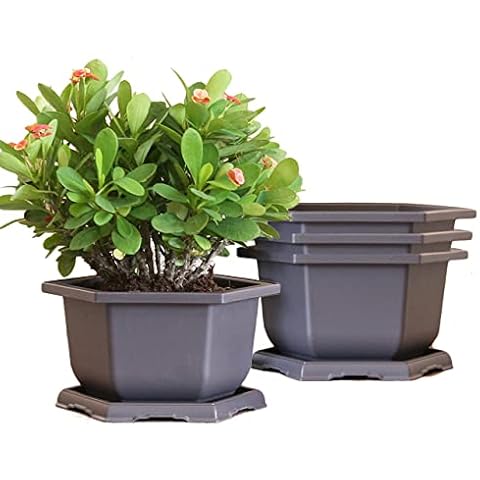MissFox Bonsai Bowl 4 Pieces Plastic Flower Pot with Saucer Hexagonal Bonsai Pot Made of Plastic Bonsai Training Pots Kit for Garden Living Room Office (20 x 12 cm) Cover