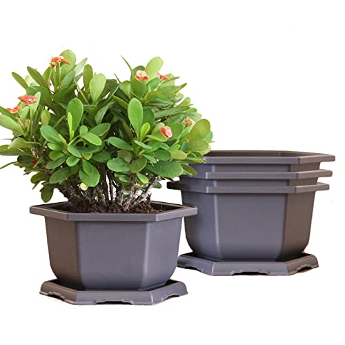 MissFox Set di 4 vasi per bonsai, in plastica, con sottovaso, esagonali, per giardino, soggiorno, ufficio (15 x 9 cm)