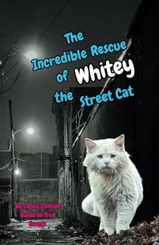 The Incredible Rescue Of Whitey The Street Cat: True Events