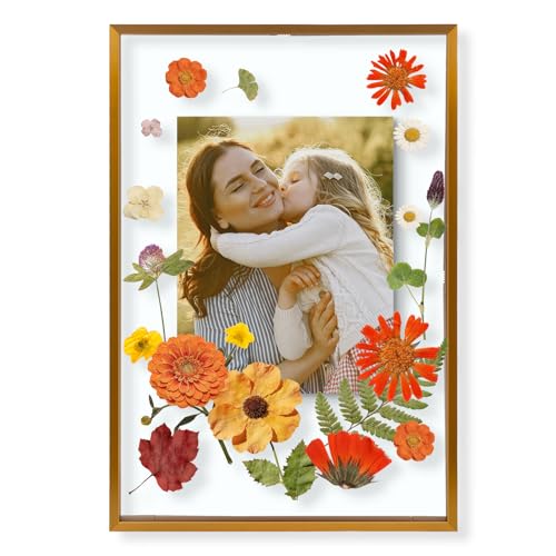 Golden State Art 12x18 Bronze Aluminum Floating Picture Frame Real Glass