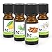 Produktbild Duft Set 7 - mit 4 Düften - Zitrone, Zimt, Kiefer, Jasmin
