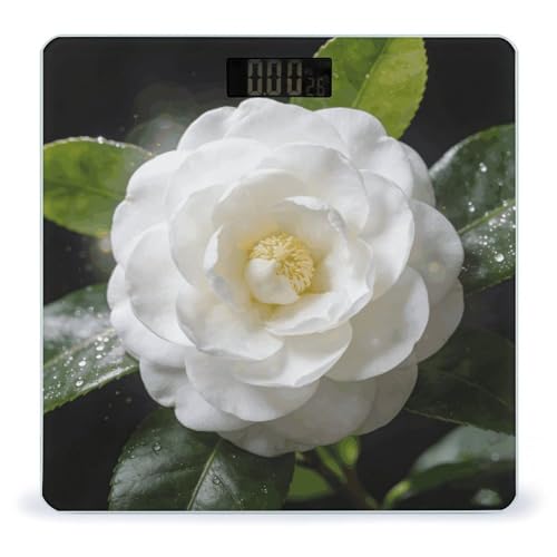 Báscula de baño digital con pantalla LCD y base antideslizante
