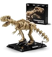 Nifeliz T. Rex Fossils Model Building Set, Tyrannosaurus Rex Dinosaur Skeleton Building Set for A...