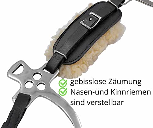 AMKA Hackamore Classic Edelstahl extra weich gepolstert schwarz