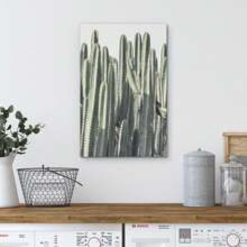 Impression sur toile de cactus désertique 60x80 cm pour salon - 3