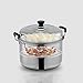 DJFKDYHPE Household Thickened Double-Layer Large-Capacity Steamer, Stainless Steel Uncoated Pot, Suitable for All Induction Cookers