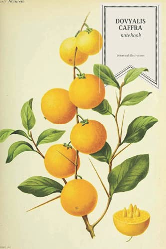 Dovyalis Caffra Botanical Illustrations Color Palette Notebook: Kei Apple Flower and Plant Vintage Inspired Color Palette Journal and Sketchbook (Botanical Illustrations Color Palette Notebooks)