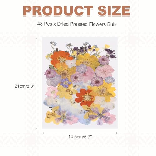 48 Piezas Flores Secas Prensadas Para Manualidades DIY miniatura 2