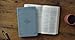 ESV Value Thinline Bible (TruTone, Paris Sky, Fleur-de-lis Design): Holy Bible, English Standard Version