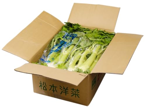 静岡県産他 セルリー (セロリ) L〜2Lサイズ 5〜6束入り (箱) 静岡県産他 セルリー (セロリ) L〜2Lサイズ 5〜6束入り (箱)