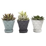 cactus redondo dibujo CHIVE INC se estableció hace más de 15 años y comenzaron a hacer macetas con agujeros de drenaje y platillos hace 6 años. Actualmente llevan más de 200 macetas de diferentes tamaños, colores, materiales y texturas. Además de todas estas macetas geniales, hacen miles de jarrones de cristal y cerámica y otras divertidas decoraciones para el hogar Estoy encantado de ofrecer en mi página de Amazon solo una pequeña selección de su catálogo, incluyendo este trío contemporáneo y único de macetas y platillos de diamantes pequeños.