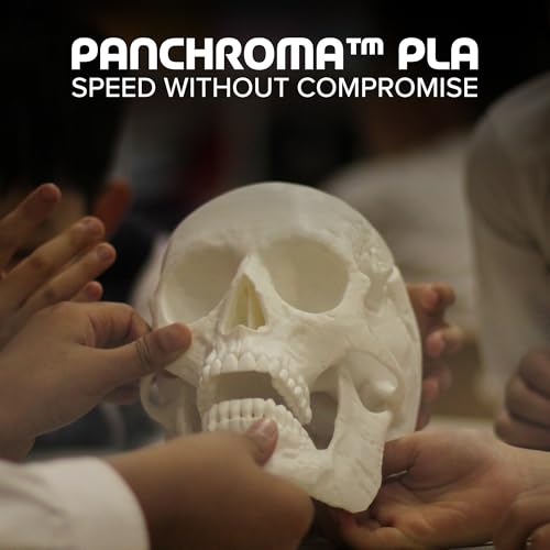 Image of Polymaker Panchroma PLA 3D Printer Filament 1.75mm 2KG Bundle Black*1+White*1, 2x1kg, Easy to Print, High Speed Printing, AMS Compatible, Perfect for Toys, Decor, Miniatures, Models & Cosplay