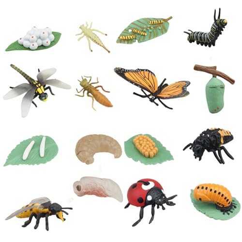 Cycle de vie des insectes jouets éducatifs pour animer les ateliers nature à la maison