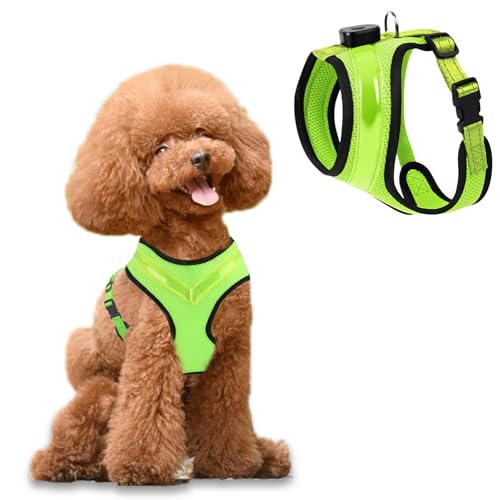 Fancysky Hundegeschirr Leuchtend Aufladbar Wiederaufladbarkeit, LED Leuchtgeschirr für Hunde, Atmungsaktive Hundegeschirre für Kleine und mittlere Hunde (M)