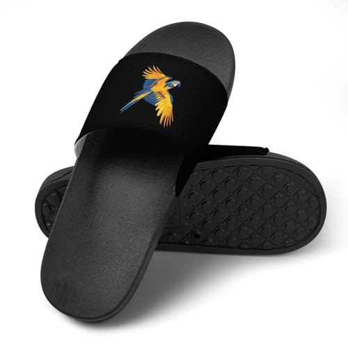 Parrot Pet Macaw Bird Tropical Non Slip Slides Sandals for Women Men Quick Drying Shower Shoes for Bathroom Pool Beach4
