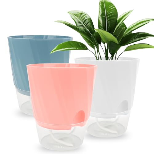 Juego de 3 macetas de autoriego, maceta de plástico de 15 cm con sistema de riego, maceta con platillo para interior y balcón, jardín, plantas suculentas con plato transparente