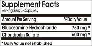 Glucosamine 750mg and Chondroitin 600mg Triple Strength ~ 100 Capsules - No Additives ~ Naturetition Supplements