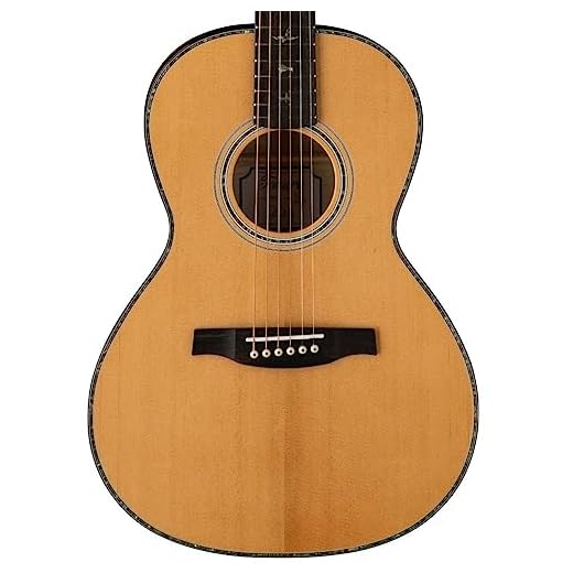 PRS Paul Reed Smith 6 String SE Singlecut 594 Std McCarty, Tobacco Sunburst, Derecha (111030::BG:)