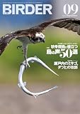 BIRDER (バーダー) 2026年 09月号 [雑誌]