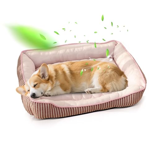 PETCUTE Lit Orthopédique pour Chien de Taille Moyenne,Anti-anxiété,Frais Paniers pour Chiens avec Fond Antidérapant,Lavable Canapé pour Chien Grande Taille,Convient pour l'été(Rose,M)
