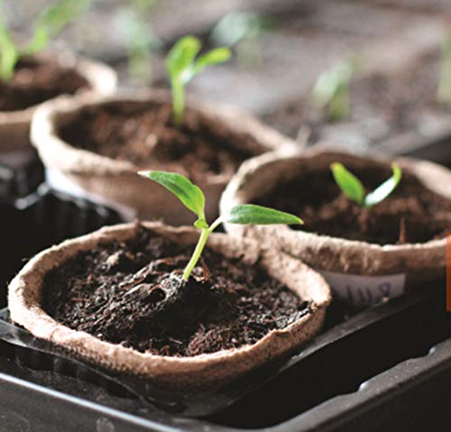 Chang'e – Pacote com 100 Potes de turfa biodegradáveis de 7,62 cm para plantas, iniciador de sement