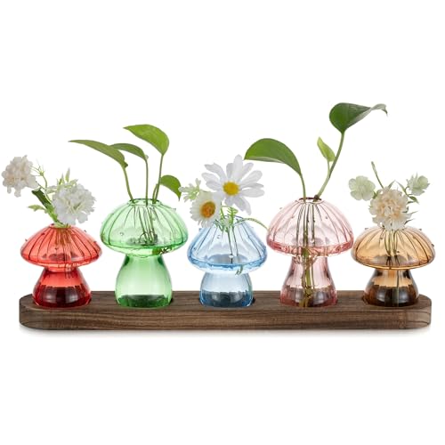 Glasseam Mushroom Propagation Station for Home: Small Glass Vase Set of 5 Plant Terrarium with Wooden Stand - Cute Flower Vases for Decor Indoor Living Room Kitchen Office Table Window