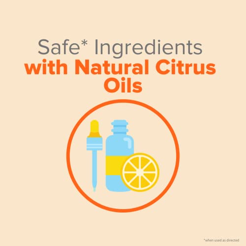 Image of Citrus Magic Odor Eliminator Air Freshener Spray for Home, Orange Blast, 3-Ounce, Pack of 4