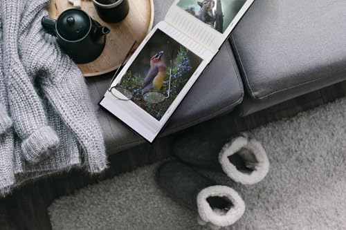 Walther FA372R Album Fotografico Classic 29X32Cm 60 Pagine Rosso - 4