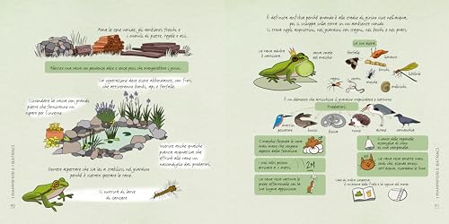 Conoscere E Proteggere La Piccola Fauna Urbana. Uccelli, Scoiattoli, Ricci, Api... - 10