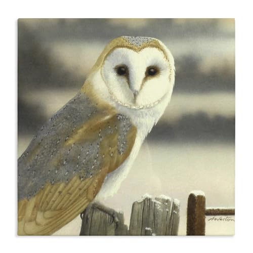 Stupell Industries Barn Owl Rural Fence, 17 x 17 Inch Canvas Wall Art