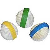 Alter ab (Jahren):: 4 Meeresgutveredelung MUSCHEL861 Wundermuschel 1 Stück - Farbe sortiert