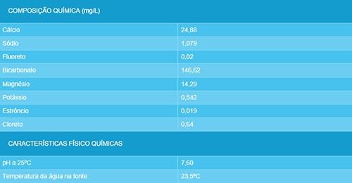 Água Mineral S/Gás Ouro Fino Red 300ml (8 unidades)