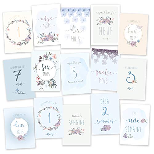 15 cartes étapes bébé - BLEUE - première année de bébé - de 1 semaine à 1 an Cover