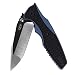 3.5" Steel Blade Pocket Knife | Zero Tolerance ZT 0393
