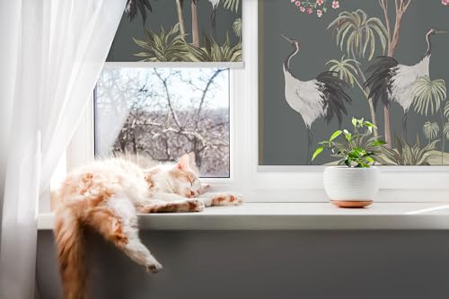 Store enrouleur perméable sans perçage protégeant l'intimité motif oiseaux 50x50cm - 7