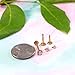 BodyJ4You 3PC Labret Tragus Cartilage 16G Studs - Internally Threaded Goldtone Surgical Steel - Helix Lip Monroe Medusa Conch - Shiny CZ Crystal - Versatile Body Piercing Jewelry