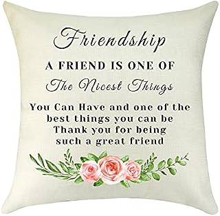 Best Friendship Gift Throw Pillow Cover Case Friend Thank You Gift Appreciation Gift Birthday Christmas Wedding Gift for Best Friend Sister BFF Linen Cushion Case for Sofa Living Room Decorative 18X18
