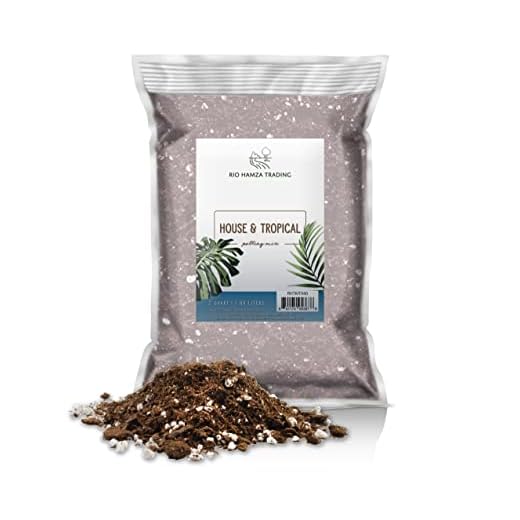 Rio Hamza Trading Tropical House Plant Potting Mix (2 Quarts); for All Types of Indoor House Plants