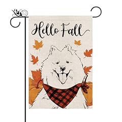 Fall Samoyed