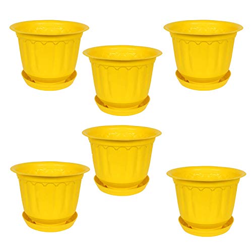 Jasmine Pots - Yellow Flower Planters -1