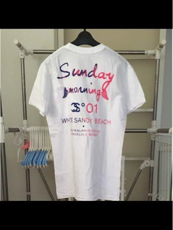 当店人気 送料無料 フランシストモークス Tシャツ 2枚セット L 桜井和寿 Mr Children 国内配送 Villa Saintantoine Com
